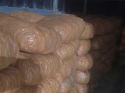 বিপুল পরিমাণ গাঁজা উদ্ধার কলকাতায়! গাড়ি থামিয়ে তল্লাশি পুলিশের, ধৃত দুই