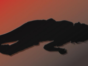 ভ্যালেন্টাইনস ডে নিয়ে ঝামেলায় আত্মহত্যার চেষ্টা তরুণীর !