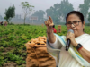 আলু চাষীদের জন্য বড় সিদ্ধান্ত মুখ্যমন্ত্রীর!